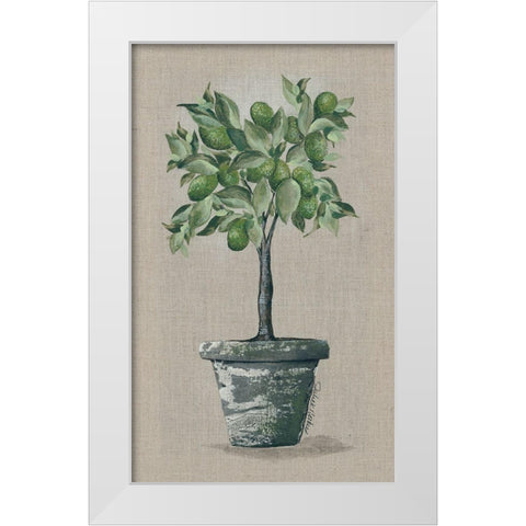 Lime Tree White Modern Wood Framed Art Print by Norkus, Julie