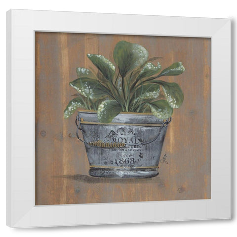 Pretty Plant in Pail White Modern Wood Framed Art Print by Norkus, Julie