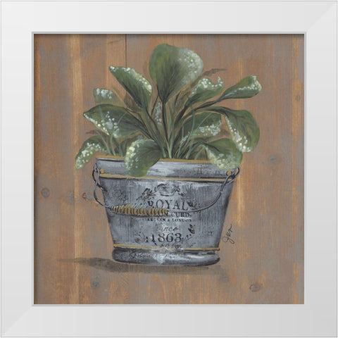 Pretty Plant in Pail White Modern Wood Framed Art Print by Norkus, Julie