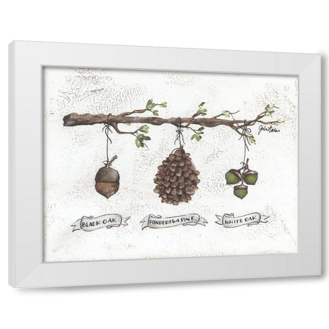 Pinecone Acorn Study White Modern Wood Framed Art Print by Norkus, Julie