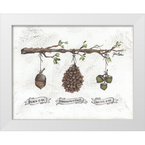 Pinecone Acorn Study White Modern Wood Framed Art Print by Norkus, Julie