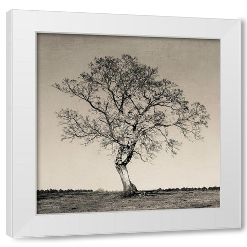 Tree No. 54 White Modern Wood Framed Art Print by Rigsby, Jennifer