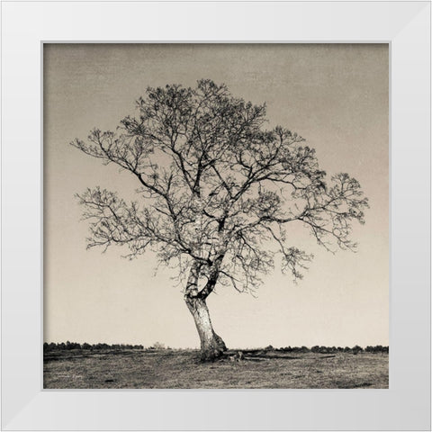 Tree No. 54 White Modern Wood Framed Art Print by Rigsby, Jennifer