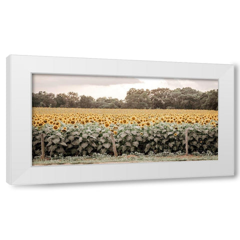 Sunflower Field No. 7 White Modern Wood Framed Art Print by Rigsby, Jennifer