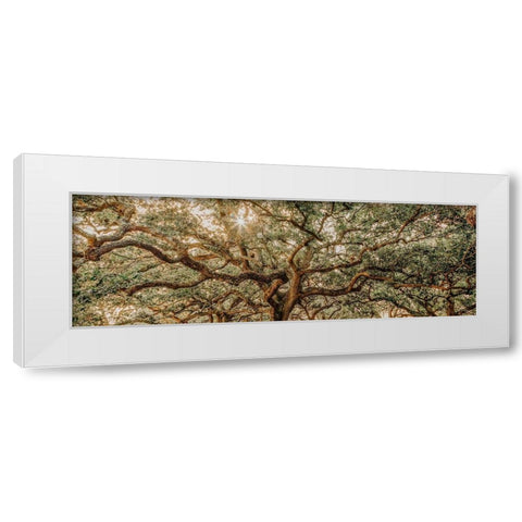Low Country Oaks I White Modern Wood Framed Art Print by Rigsby, Jennifer