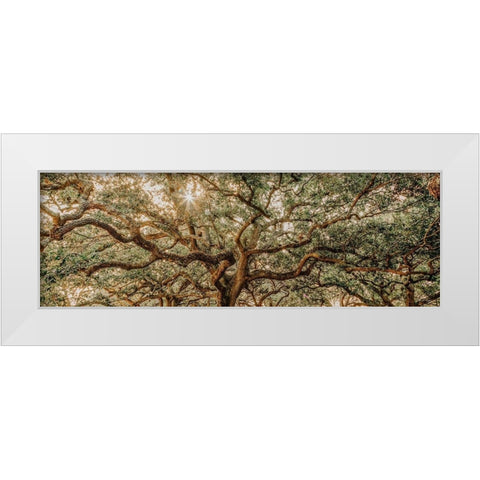 Low Country Oaks I White Modern Wood Framed Art Print by Rigsby, Jennifer