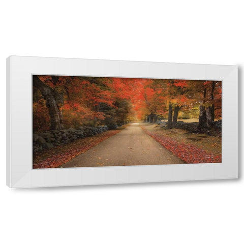 October Lane White Modern Wood Framed Art Print by Vieira, Robin-Lee