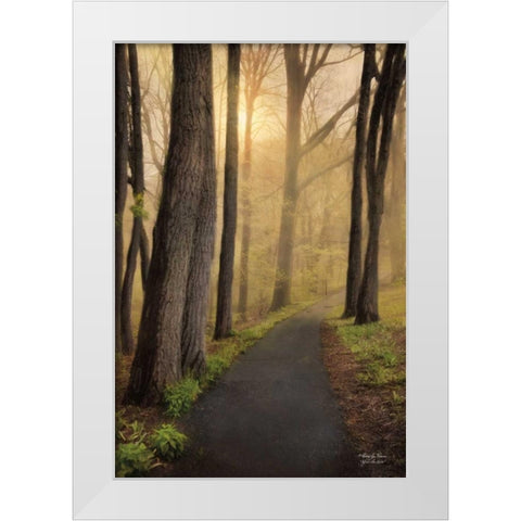 After the Rain White Modern Wood Framed Art Print by Vieira, Robin-Lee
