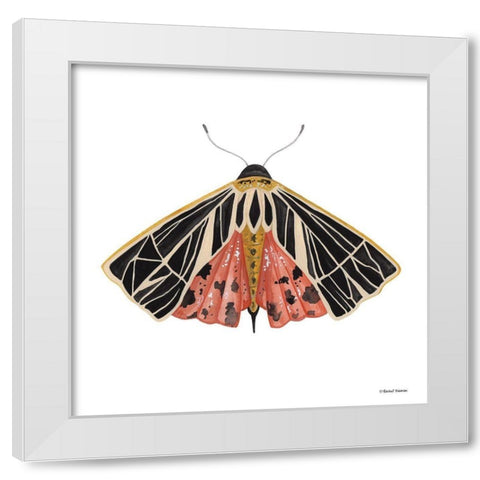 Naturally Wonderful Moth White Modern Wood Framed Art Print by Nieman, Rachel