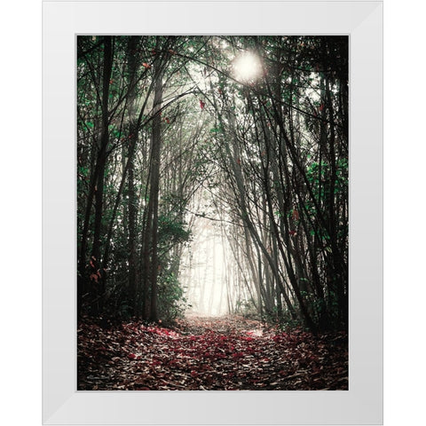 Path in the Woods White Modern Wood Framed Art Print by Ball, Susan