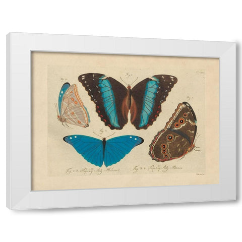 Vintage Butterflies 1 White Modern Wood Framed Art Print by Stellar Design Studio