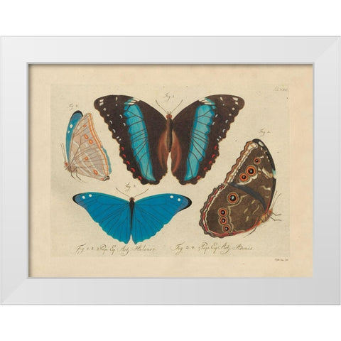 Vintage Butterflies 1 White Modern Wood Framed Art Print by Stellar Design Studio