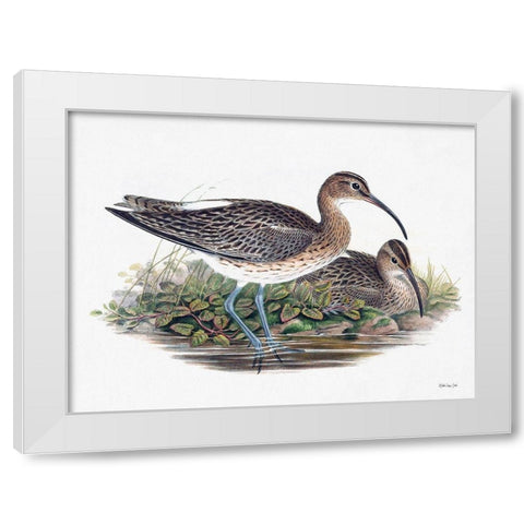 Goulds Coastal Bird III White Modern Wood Framed Art Print by Stellar Designs Studio