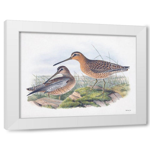 Goulds Coastal Bird VIII White Modern Wood Framed Art Print by Stellar Designs Studio