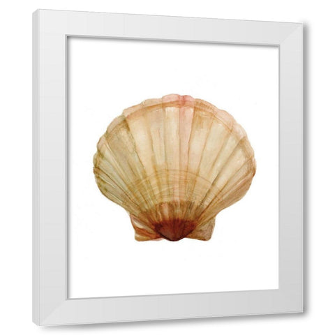 Neutral Shell Collection 2   White Modern Wood Framed Art Print by Stellar Design Studio