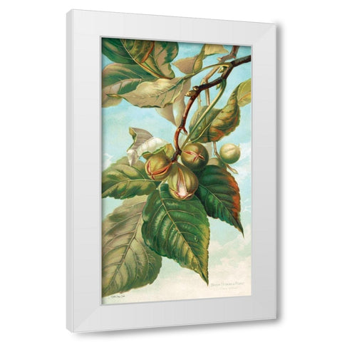 Tree Branch with Fruit I White Modern Wood Framed Art Print by Stellar Design Studio