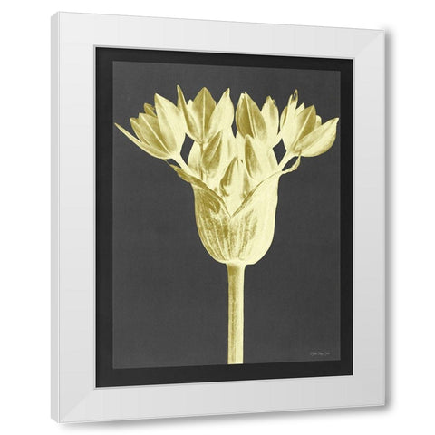 Forms in Nature 3 White Modern Wood Framed Art Print by Stellar Design Studio