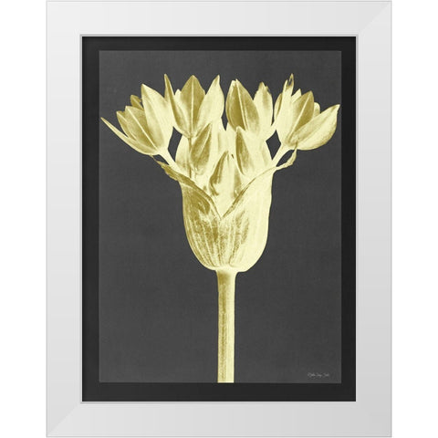 Forms in Nature 3 White Modern Wood Framed Art Print by Stellar Design Studio