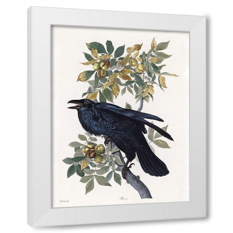 Vintage Crow 2 White Modern Wood Framed Art Print by Stellar Design Studio