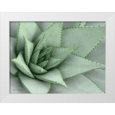 Pointy Tip Succulent White Modern Wood Framed Art Print by Seven Trees Design