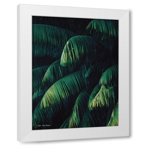 Palm Leaves   White Modern Wood Framed Art Print by Seven Trees Design