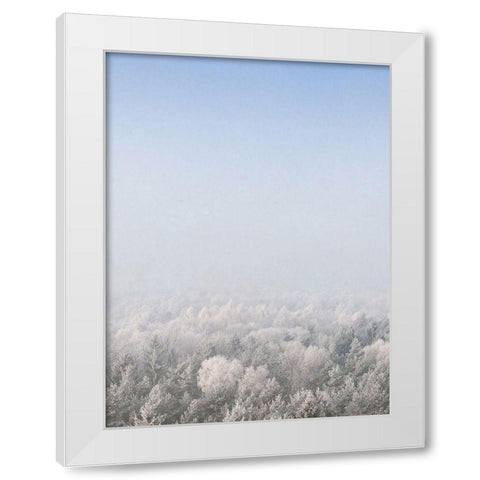 Snow Forest from the Sky   White Modern Wood Framed Art Print by Seven Trees Design