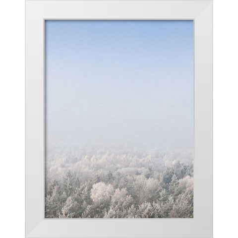 Snow Forest from the Sky   White Modern Wood Framed Art Print by Seven Trees Design