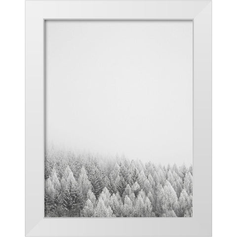 The White Forest   White Modern Wood Framed Art Print by Seven Trees Design
