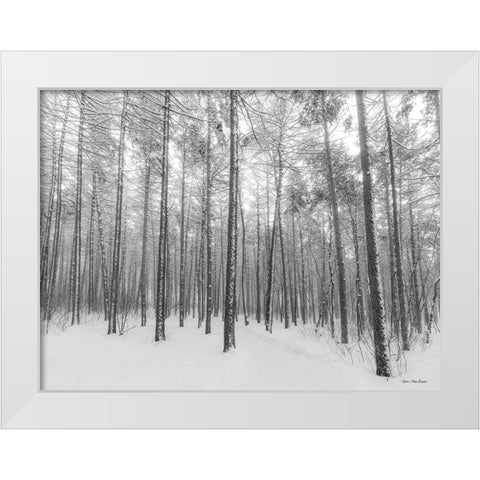 Let It Snow Forest   White Modern Wood Framed Art Print by Seven Trees Design