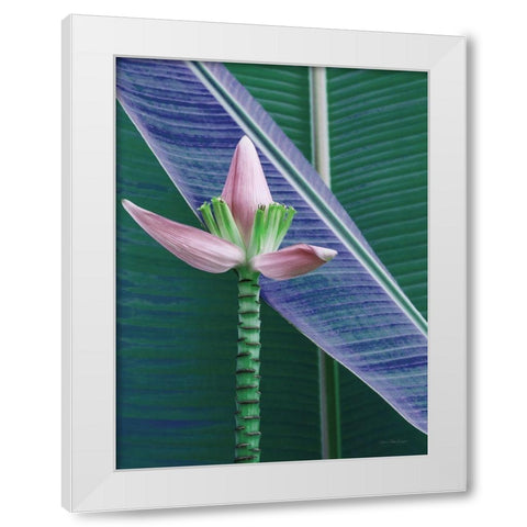Banana Flower White Modern Wood Framed Art Print by Seven Trees Design