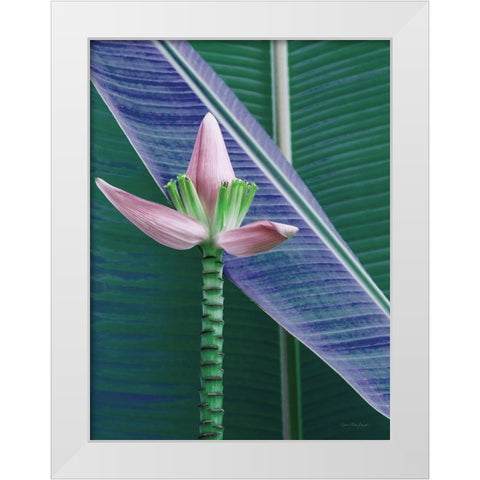 Banana Flower White Modern Wood Framed Art Print by Seven Trees Design