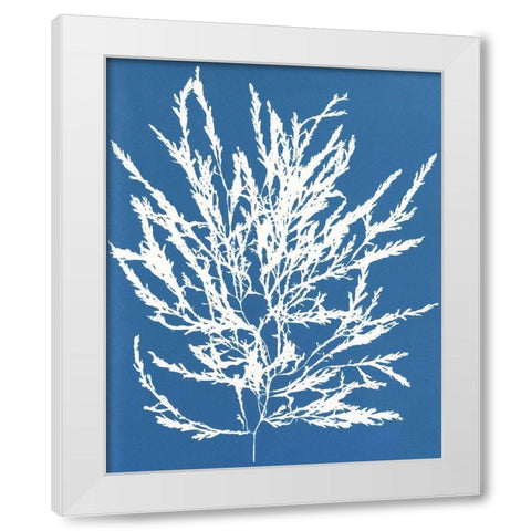 Blue Botanical I White Modern Wood Framed Art Print by Seven Trees Design