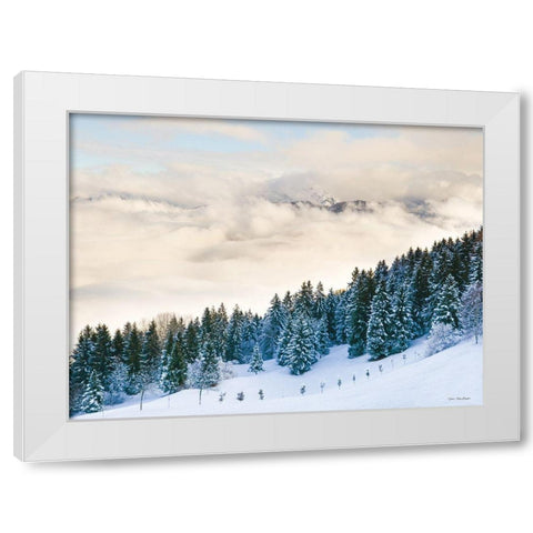 Pines in the Sky    White Modern Wood Framed Art Print by Seven Trees Design