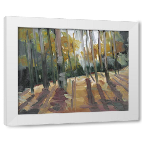 Backlit Woods   White Modern Wood Framed Art Print by Trujillo, Jose