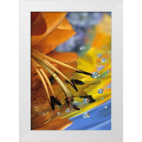 Abstract of lily stamens in reflection White Modern Wood Framed Art Print by Rotenberg, Nancy