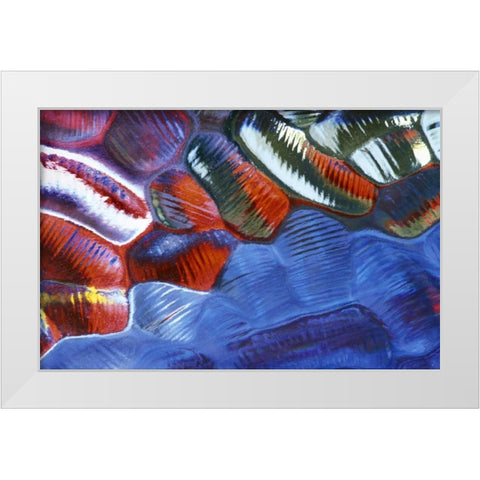 Abstract Pattern in Glass White Modern Wood Framed Art Print by Rotenberg, Nancy