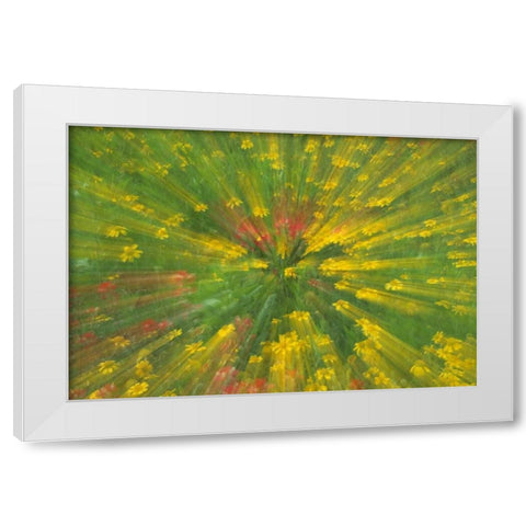 Garden Abstract White Modern Wood Framed Art Print by Rotenberg, Nancy