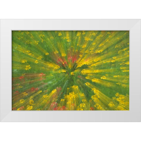 Garden Abstract White Modern Wood Framed Art Print by Rotenberg, Nancy