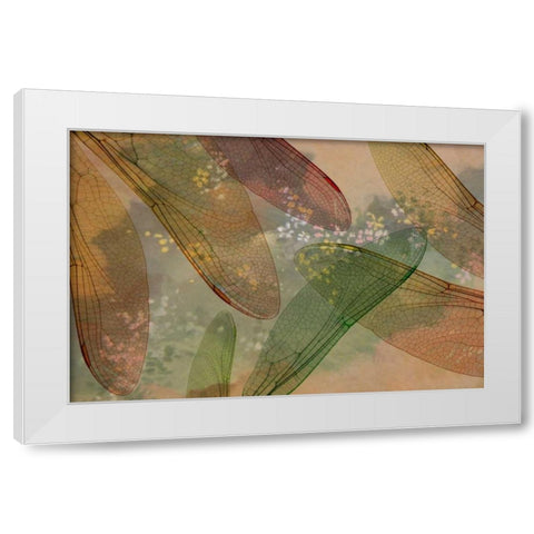 Montage abstract of dragonfly wings and flower White Modern Wood Framed Art Print by Paulson, Don