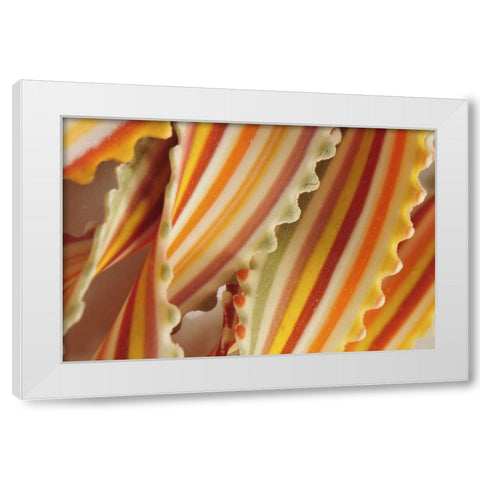USA Close-up of dried rainbow pasta noodles White Modern Wood Framed Art Print by Terrill, Steve