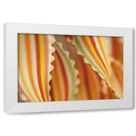 USA Close-up of dried rainbow pasta noodles White Modern Wood Framed Art Print by Terrill, Steve