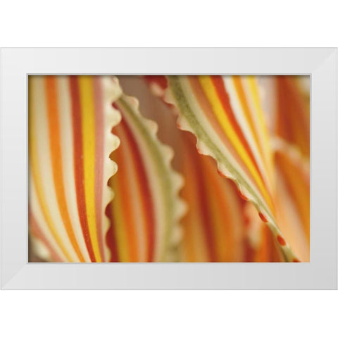 USA Close-up of dried rainbow pasta noodles White Modern Wood Framed Art Print by Terrill, Steve