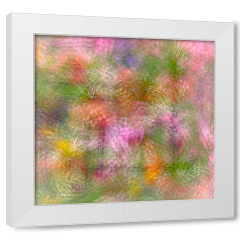 Colorful floral abstract White Modern Wood Framed Art Print by Jaynes Gallery