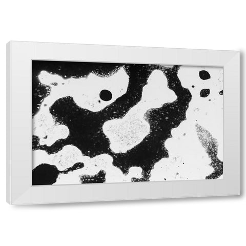Color abstract White Modern Wood Framed Art Print by Muench, Zandria