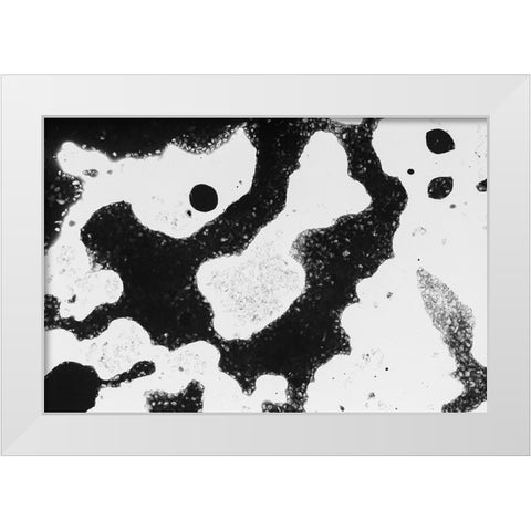 Color abstract White Modern Wood Framed Art Print by Muench, Zandria
