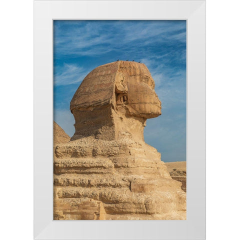 Africa-Egypt-Cairo Giza plateau Great Sphinx of Giza in front of the Great Pyramid of Giza White Modern Wood Framed Art Print by Wilson, Emily