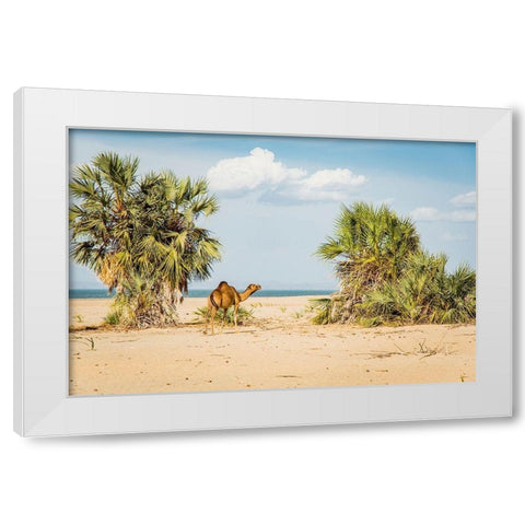 East Africa-Kenya Lake Turkana Basin-Lobolo Camp-beach scene with camels White Modern Wood Framed Art Print by Jones, Alison
