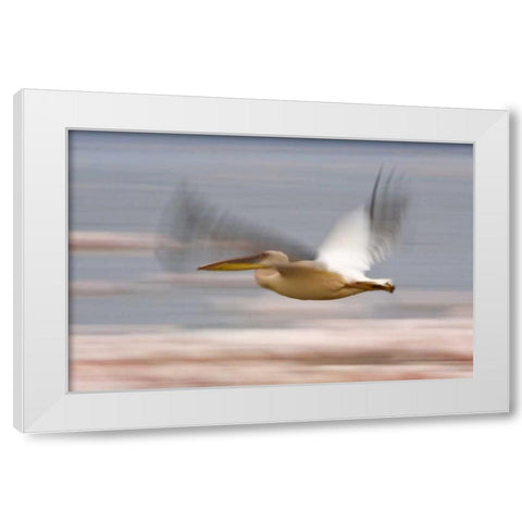 Kenya, Lake Nakuru NP Motion blur of pelicans White Modern Wood Framed Art Print by Kirkland, Dennis
