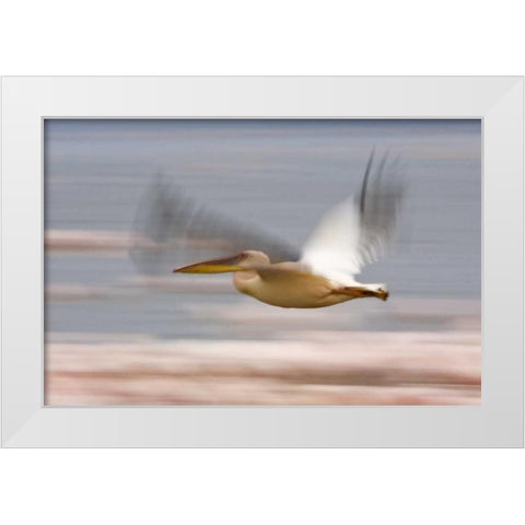 Kenya, Lake Nakuru NP Motion blur of pelicans White Modern Wood Framed Art Print by Kirkland, Dennis