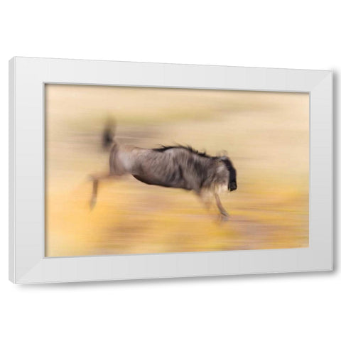 Kenya, Masai Mara Abstract blur of wildebeest White Modern Wood Framed Art Print by Morris, Arthur